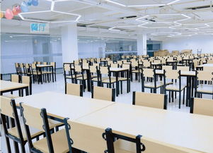 招生簡(jiǎn)章 北京華藝名畫室2019屆寒假班招生啦