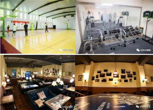 北京010畫室2019年招生簡章