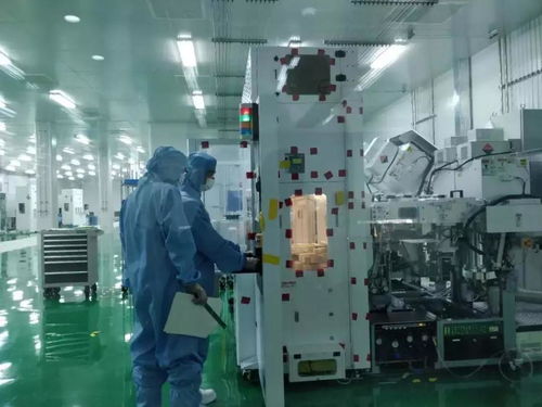 害人害己 一夜損失4000億 美對華使出殺招,不幸卻首先降臨美國