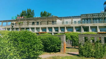 北京畫室校考沖刺班 藝術(shù)人生的關(guān)鍵抉擇與理性審視