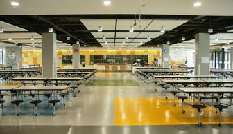 北京清源畫室停止招生，傳統(tǒng)美術(shù)教育的轉(zhuǎn)型與陣痛