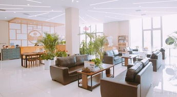 華藝名畫室學(xué)姐寄語 藝考之路，唯堅(jiān)定不移與踏實(shí)努力可抵遠(yuǎn)方