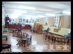 北京帝星畫室 專業(yè)藝術教育的璀璨之星